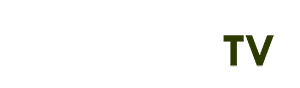 vương giả vinh diệu bản quốc tế